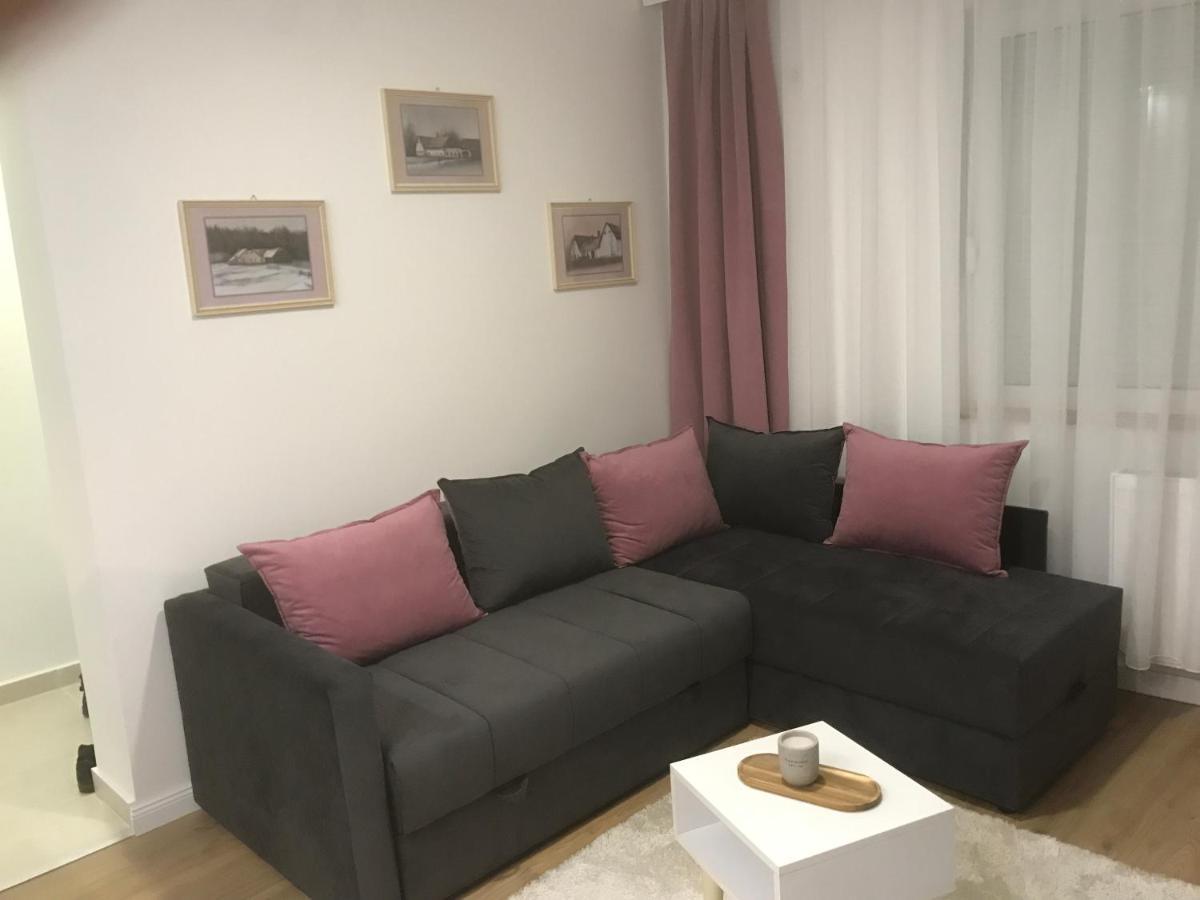 Apartman Kristina Free Parking Novi Sad Exterior photo